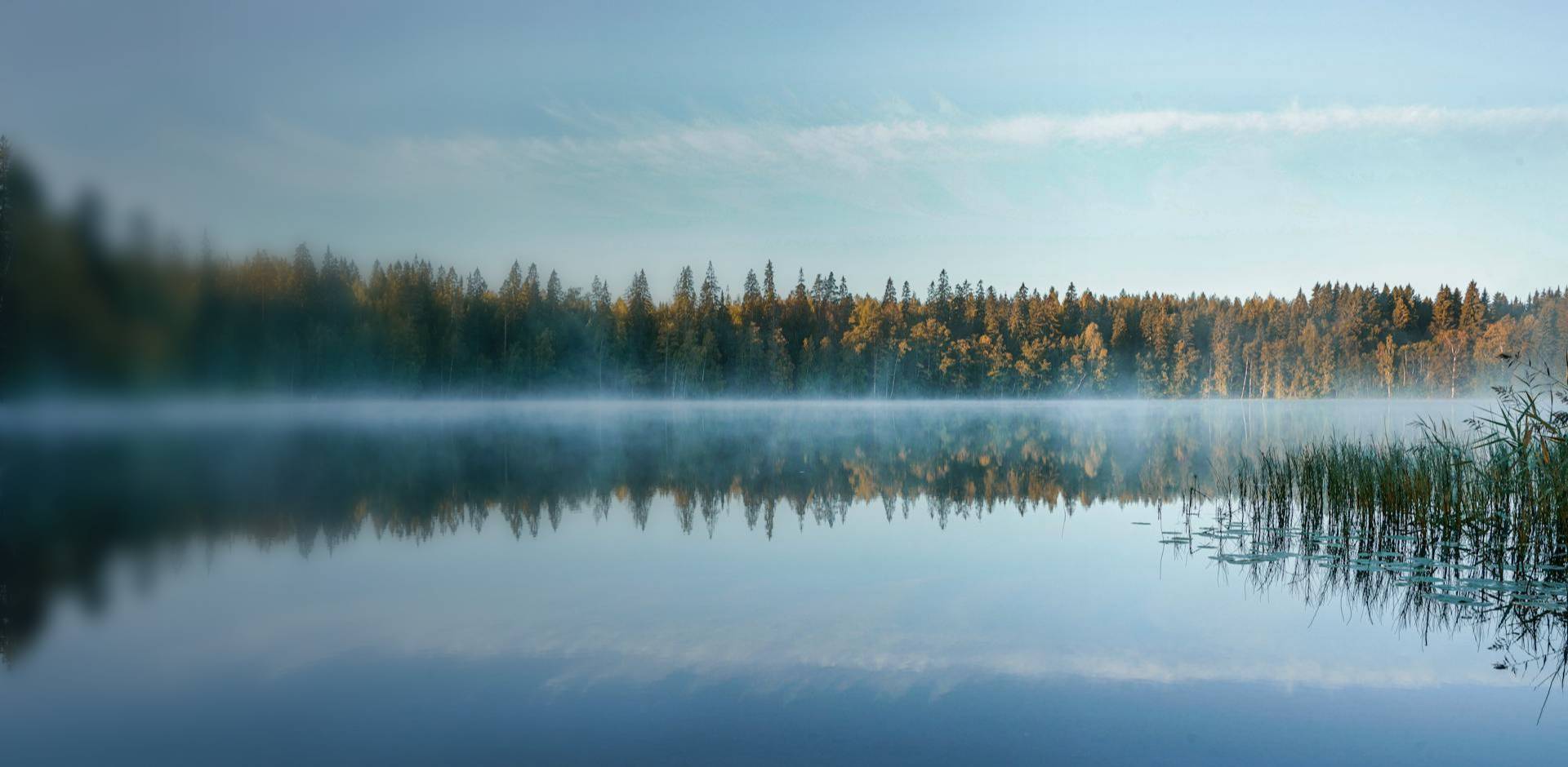 高端軟件定制開發！滿意為止！用結果證明實力！